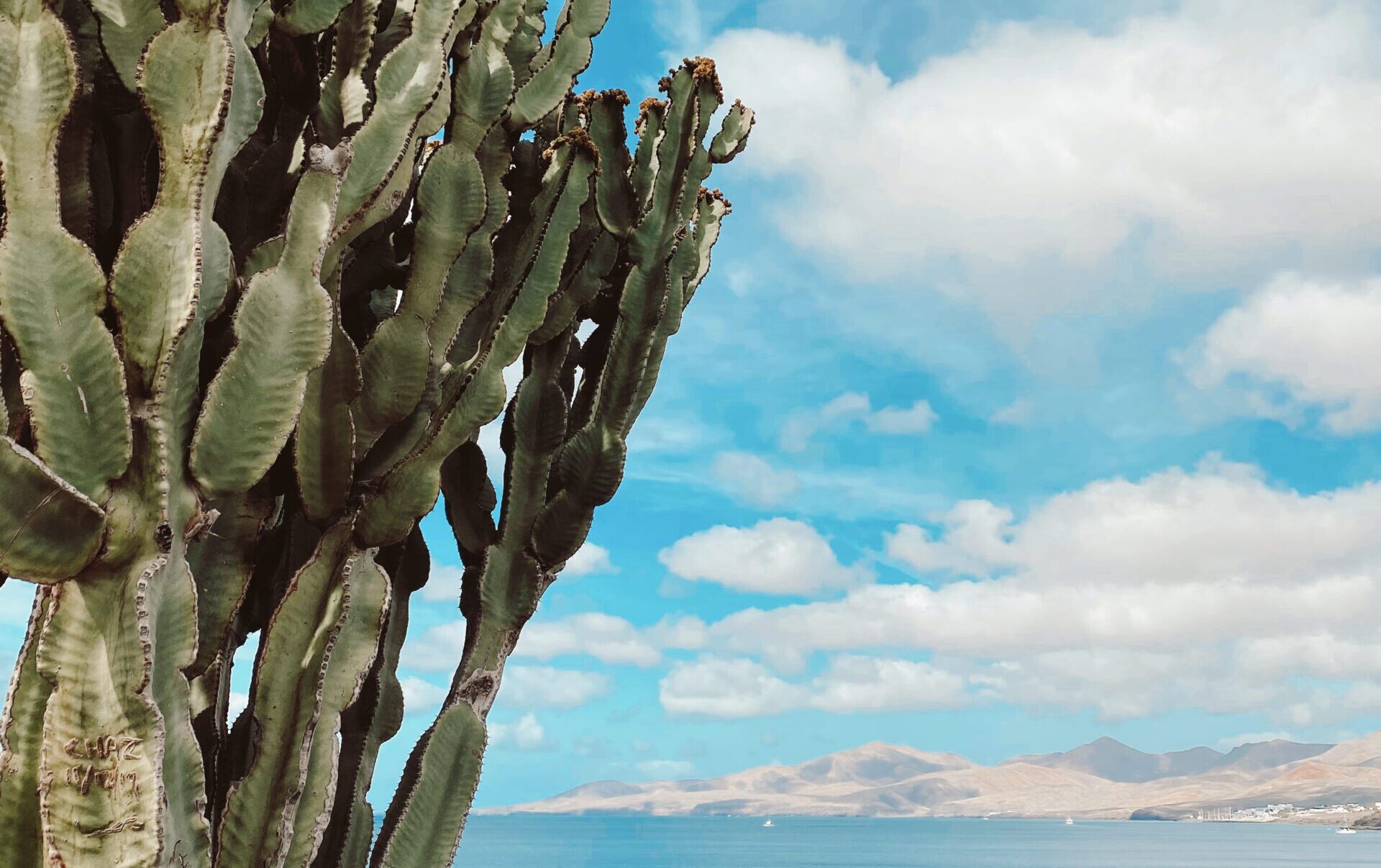Jardín secreto en Playa Quemada, Lanzarote