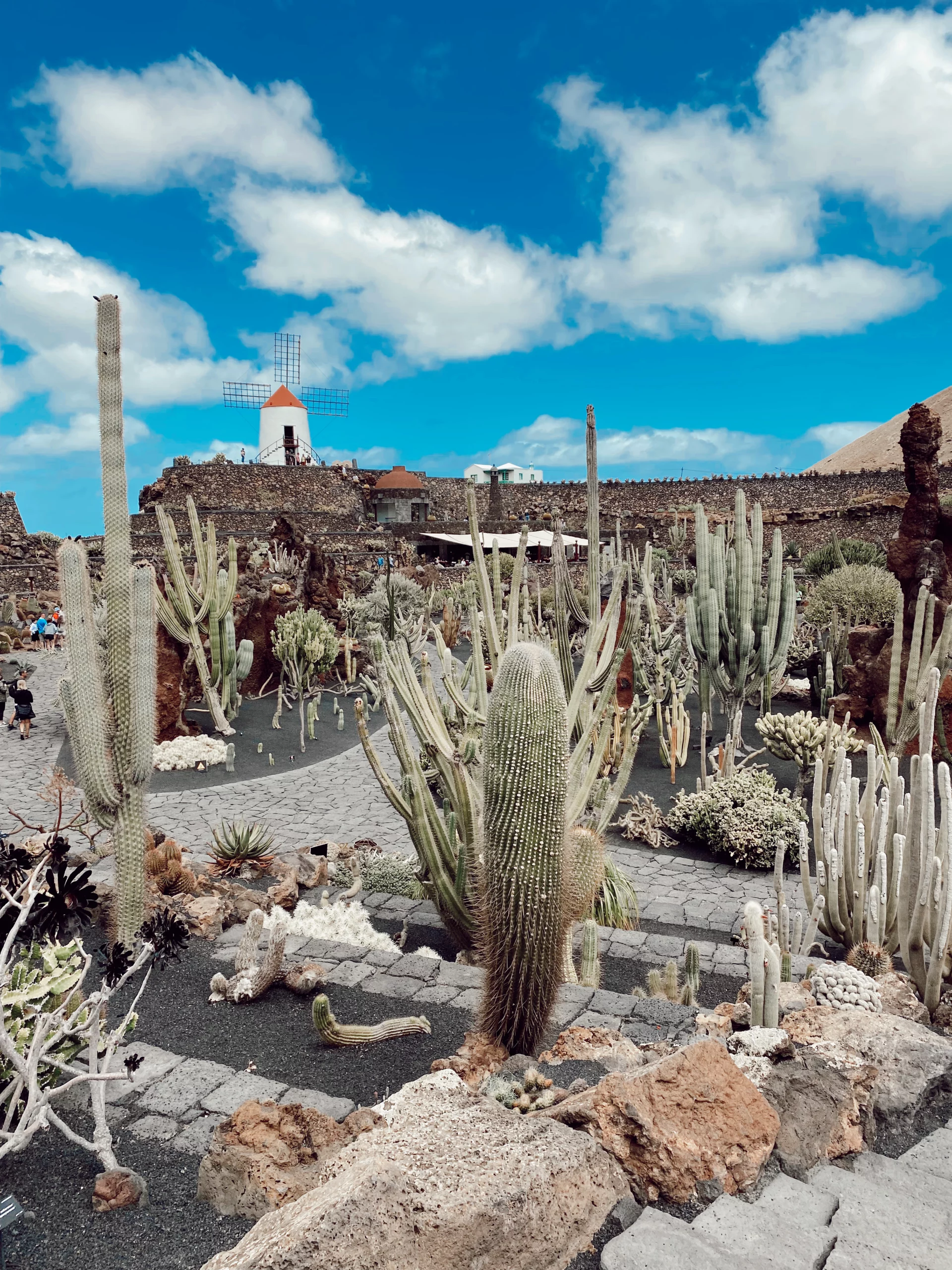 Jardín de Cactus Cact Lanzarote – Un Oasis en la Isla